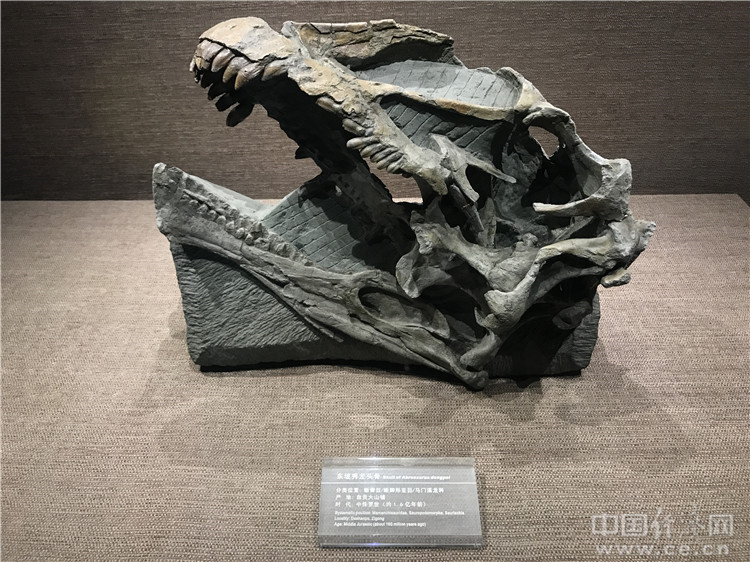 走进世界三大恐龙遗址博物馆之─:自贡恐龙博