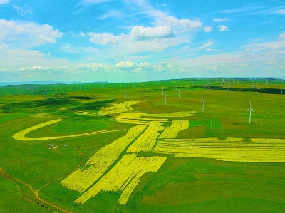 内蒙古：辉腾锡勒“鲜花草原”