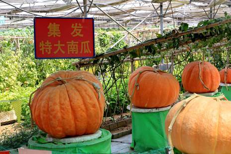 马尔代夫太遥远 北戴河才是乐园 附最新攻略