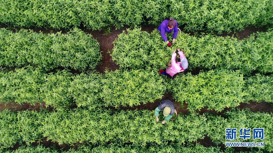 贵州独山贫困村创业致富带头人培训首期学员毕业