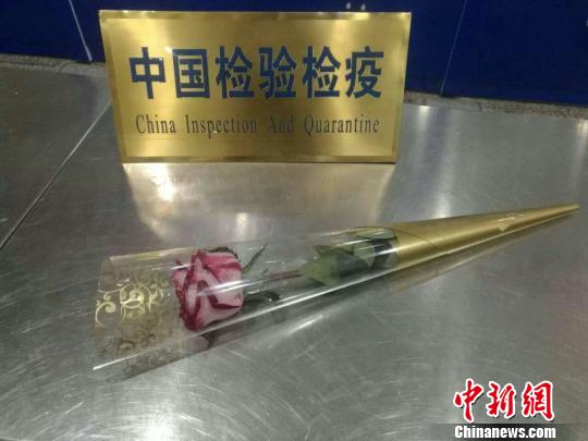 情人节外籍旅客带玫瑰入境 未审批被截留 情人节外籍旅客带玫瑰入境未审批被截留(图)
