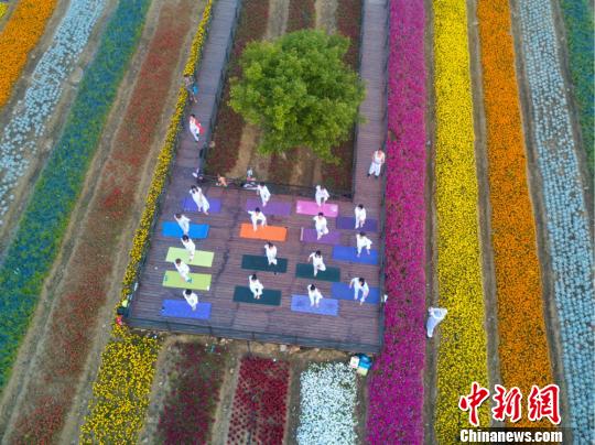 无锡瑜伽爱好者“七彩花园”中备战国际瑜伽节