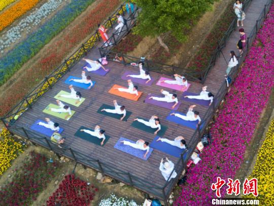 无锡瑜伽爱好者“七彩花园”中备战国际瑜伽节