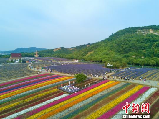 无锡瑜伽爱好者“七彩花园”中备战国际瑜伽节