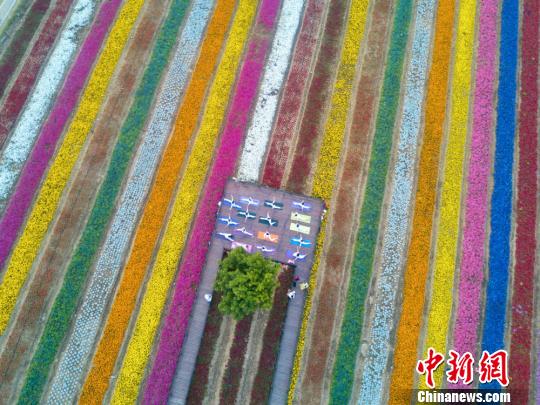 无锡瑜伽爱好者“七彩花园”中备战国际瑜伽节