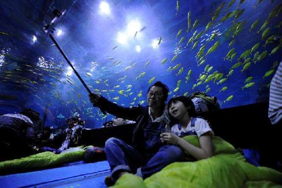 天津海昌极地海洋公园开启系列冰爽活动