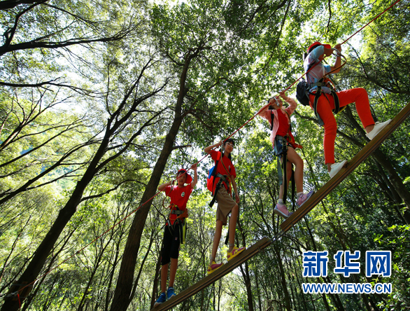 飞越丛林探险乐园开园仪式在衢州举行