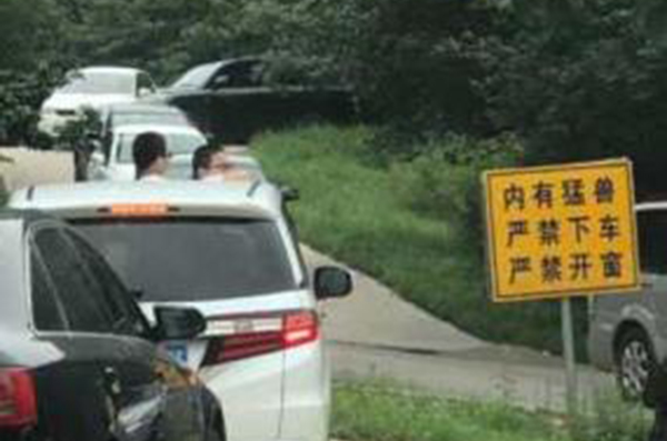 八达岭野生动物园再曝两儿童猛兽区探出天窗
