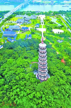 广州：一条电车线 最美七公里