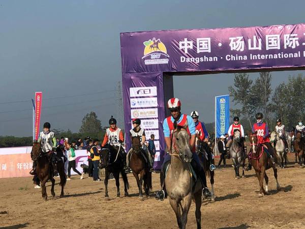 山国际马术耐力赛在黄河故道揭幕 赛事级别再