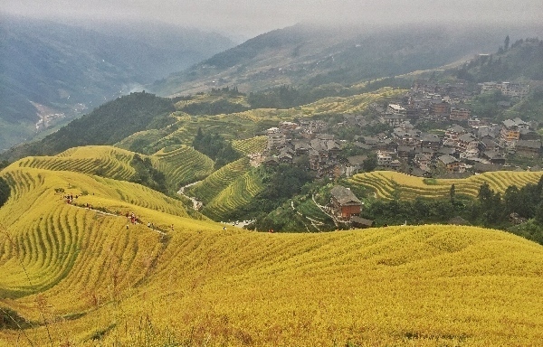 共享经济助力桂林乡村旅游脱贫摘帽
