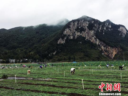 贵州：绿水青山间绘就新图画