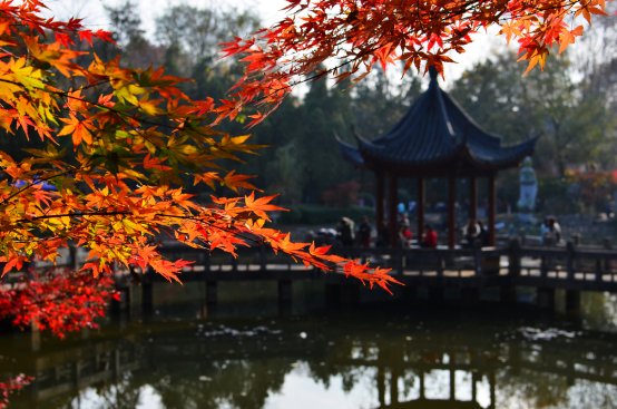 大古都之最风情】年接待游客超一亿人,南京咱