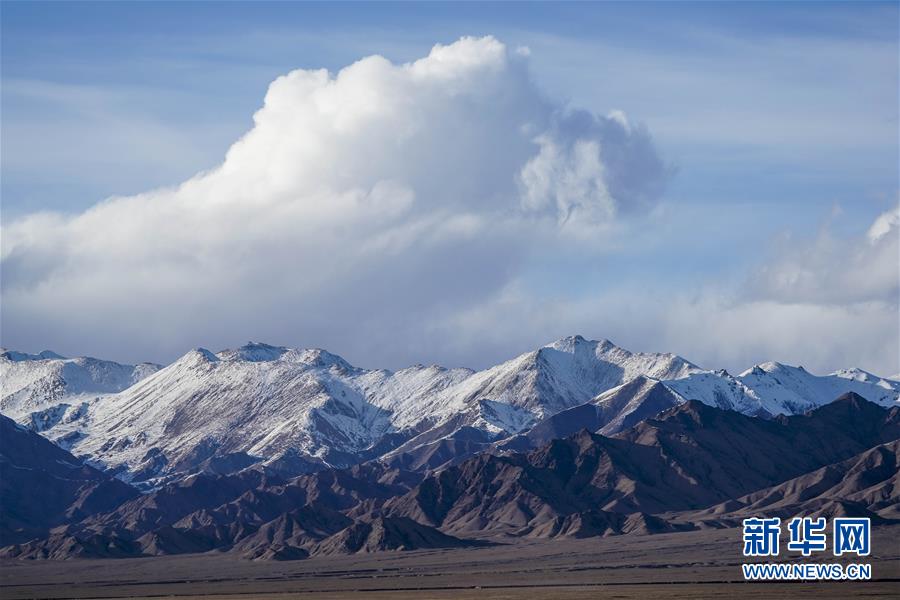 随意贴大师标签 1斤岩茶炒到几千数十万元