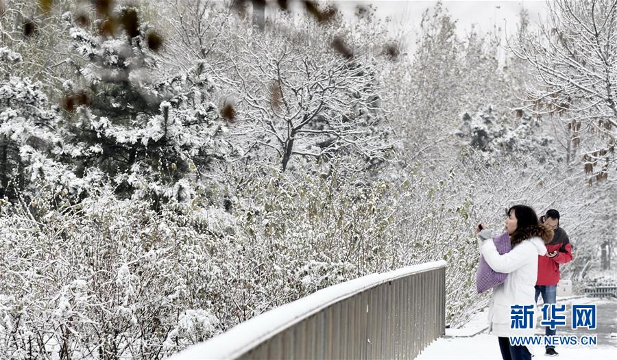 辽宁卧龙湖再现“冰湖腾鱼”胜景(最新发布)