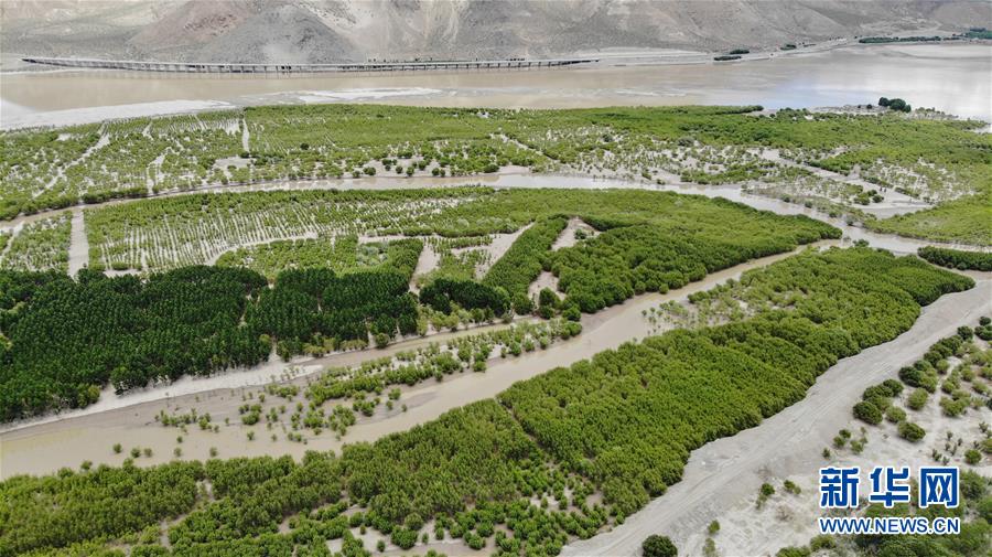 吉林:打造旅游交通网络 服务冰雪旅游(最新发布)