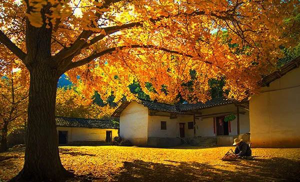 安陆gdp_安陆市国民经济和社会发展第十三个五年规划纲要 2016 2020(3)