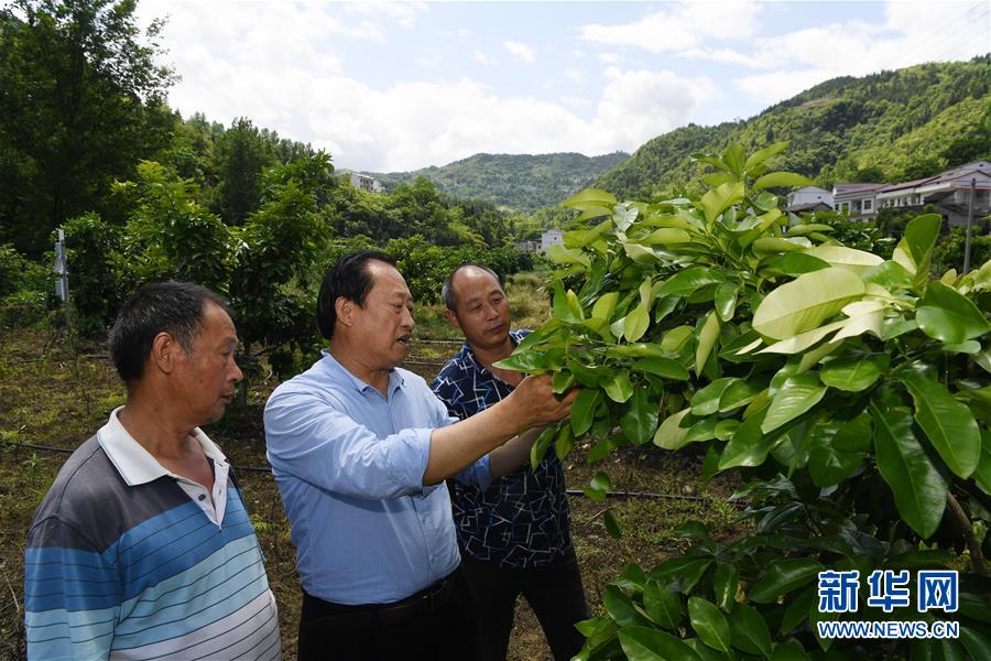 重庆：“农业+旅游”带动农户脱贫增收