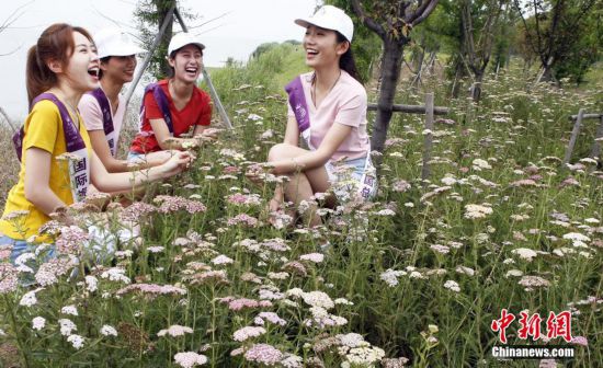 国际旅游小姐中国总决赛佳丽体验农家乐