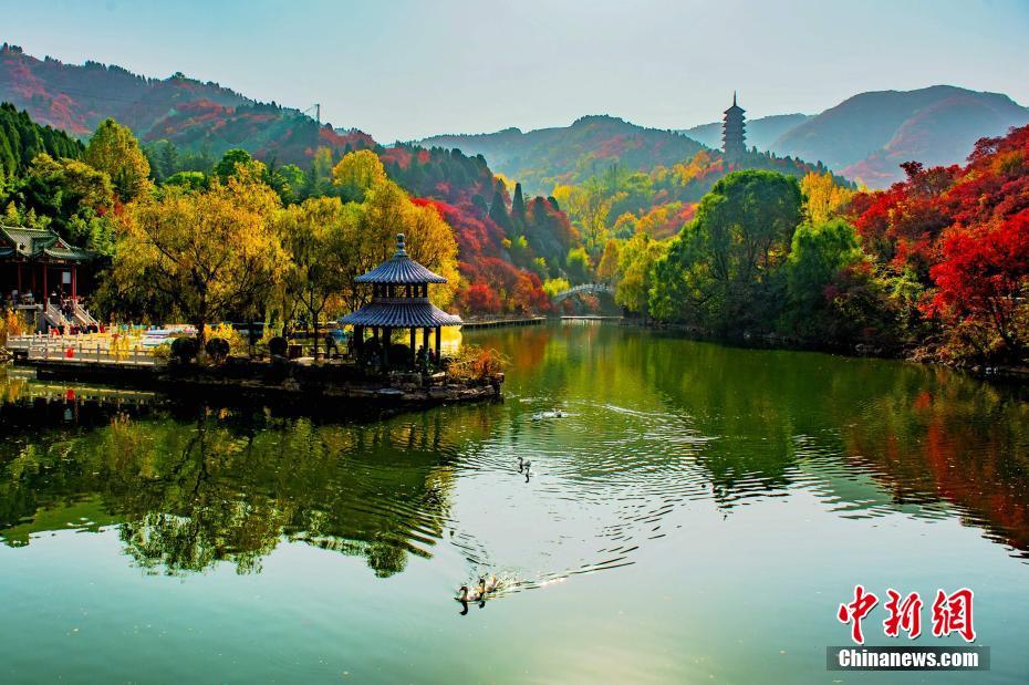 中国游客助力洛杉矶旅游业去年收入再创新高