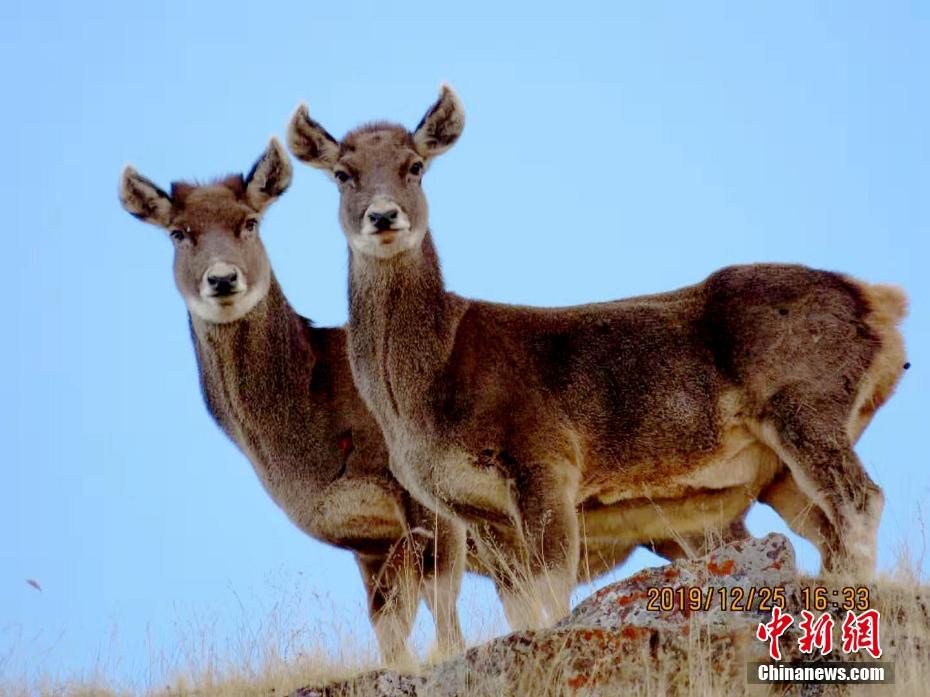 农家乐“评星定级”值得探索