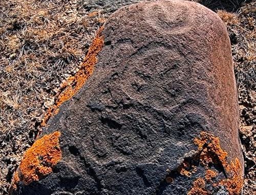 内蒙古西部发现172幅古代岩画
