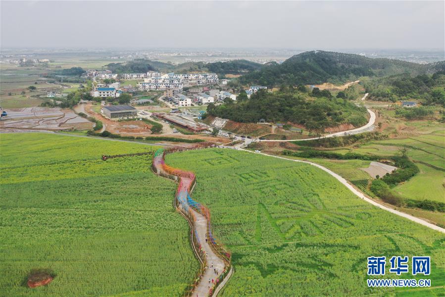 北京大兴国际机场全方位“更省时”