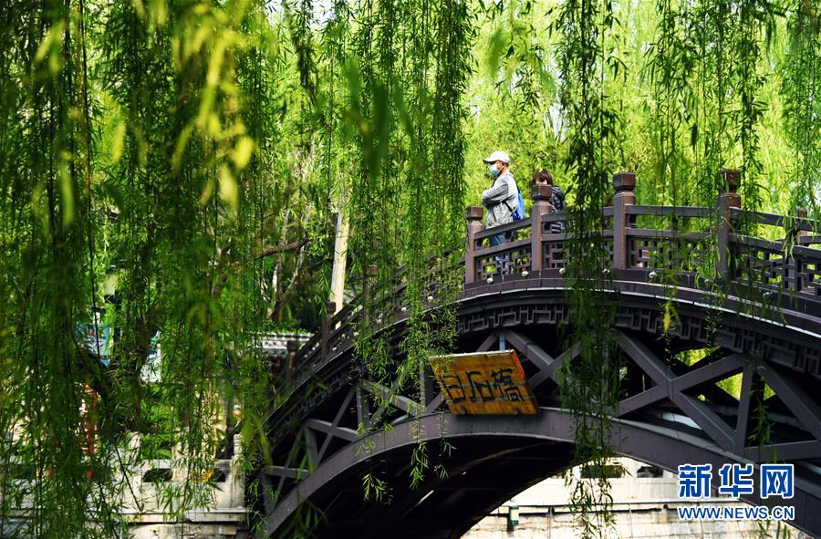 济南：护城河畔春色浓