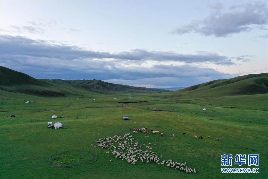 阿鲁科尔沁草原夏日美景