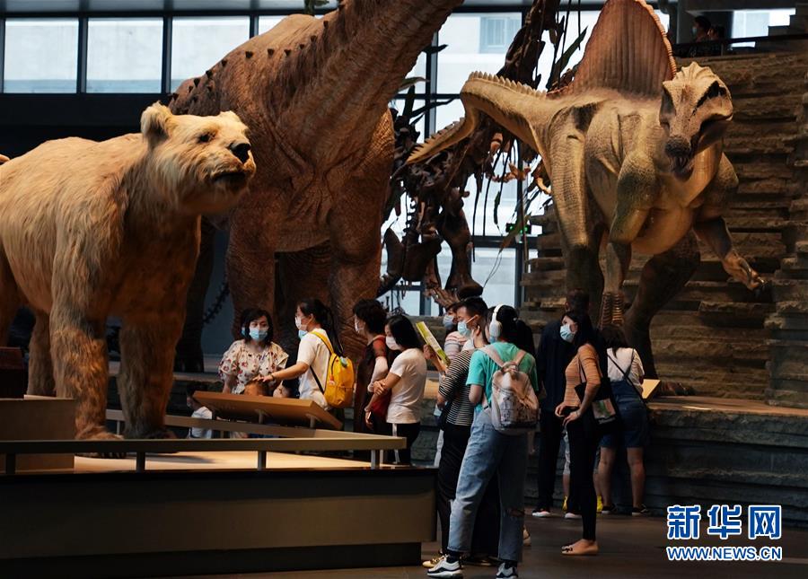 上海：自然博物馆迎来“暑期档”