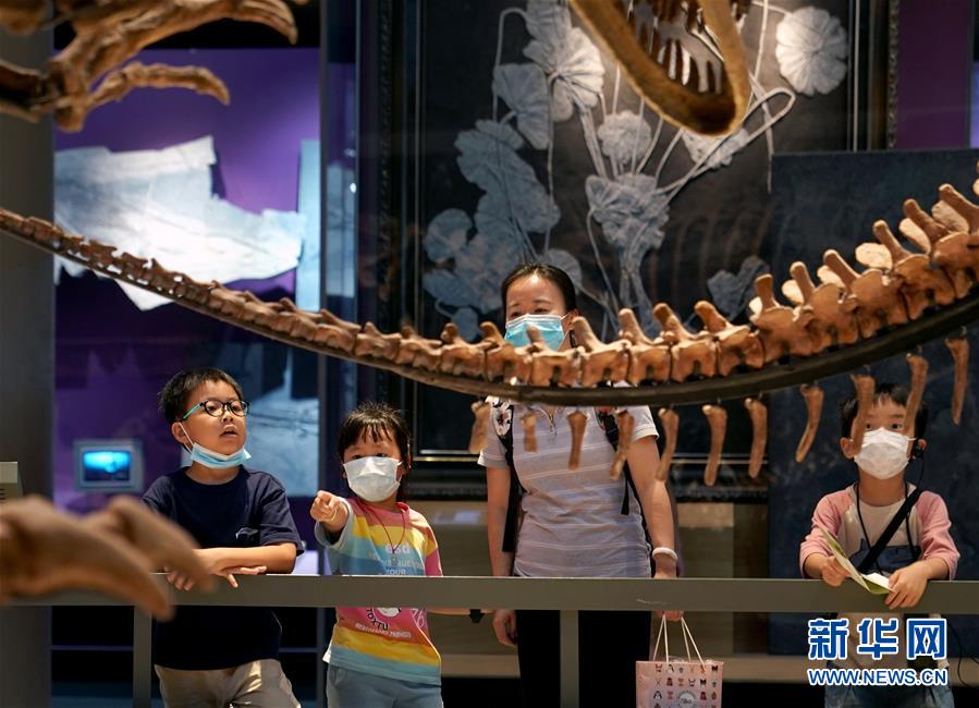 上海：自然博物馆迎来“暑期档”