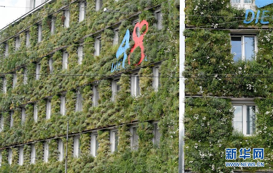维也纳：身披“绿装”的市政办公楼