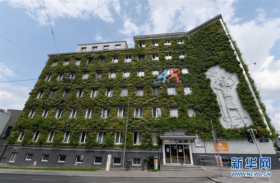 维也纳：身披“绿装”的市政办公楼