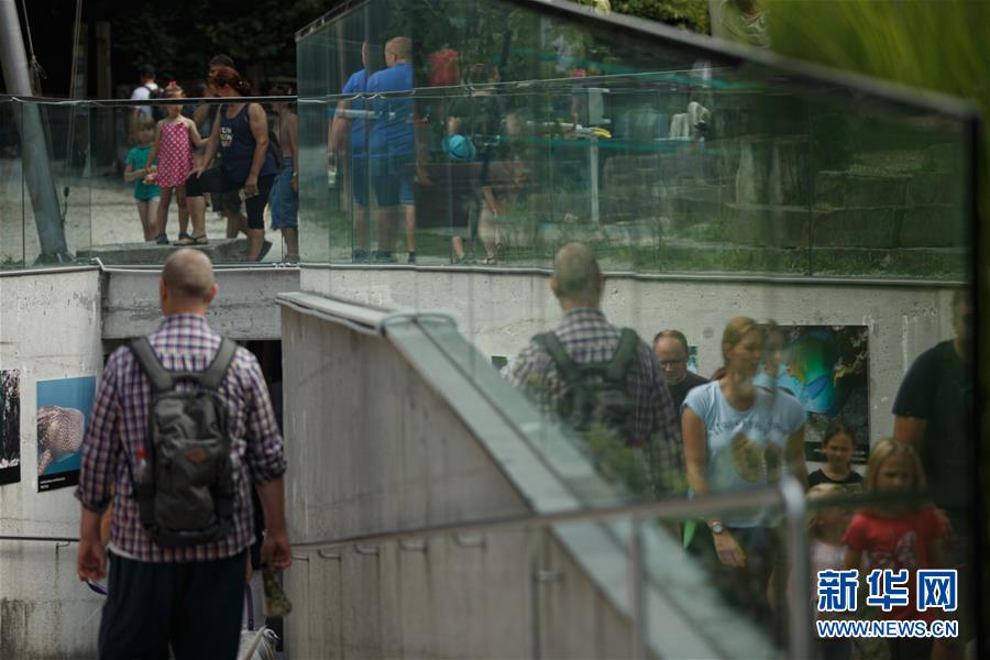 斯洛文尼亚：动物园逐渐恢复往日生气