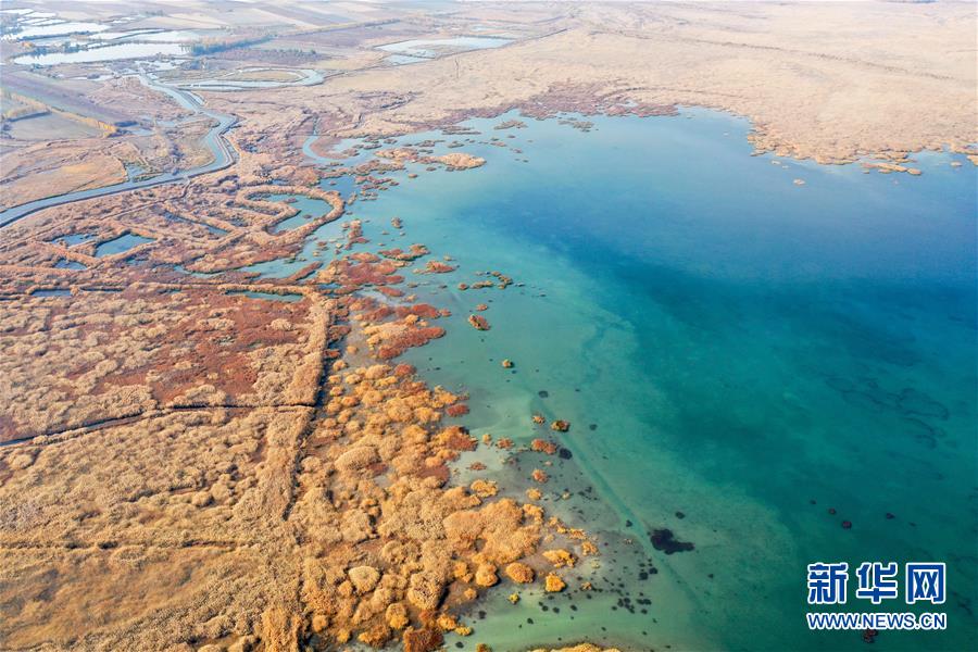 新疆玛纳斯：秋日湿地画卷