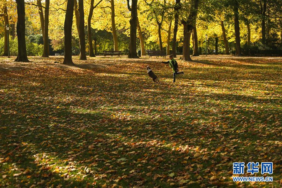 比利时：秋天的色彩