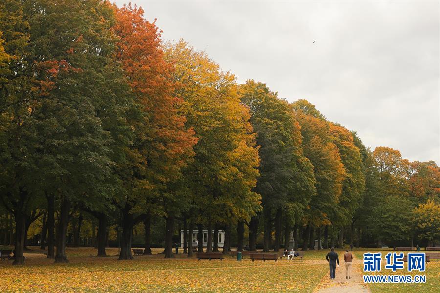 比利时：秋天的色彩