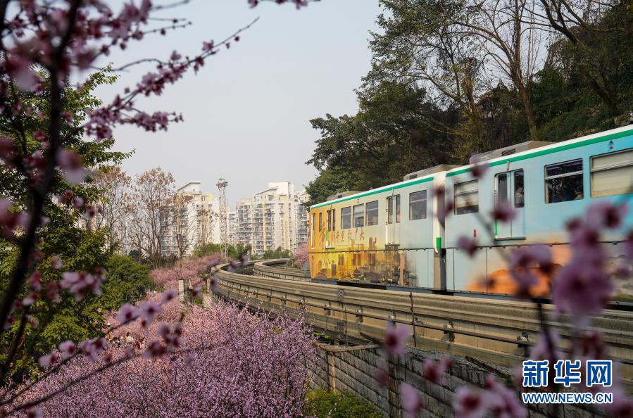 重庆：一路繁花相送 带你驶向春天