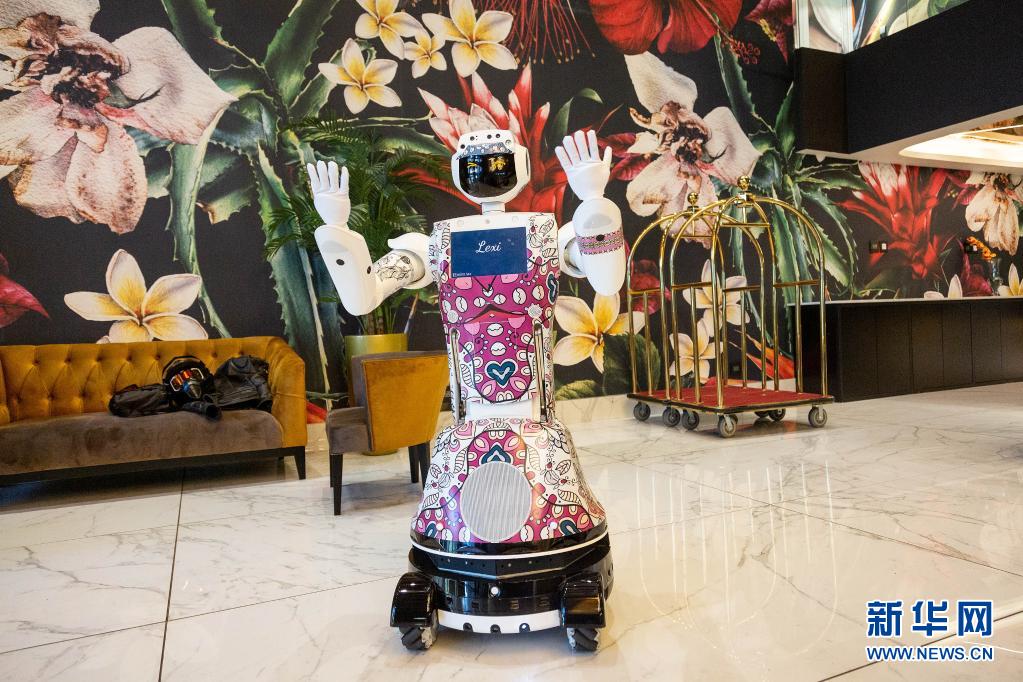 南非：酒店引入机器人服务