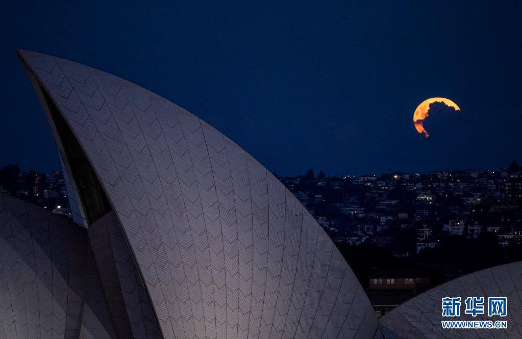 悉尼：“超级月亮”现身夜空