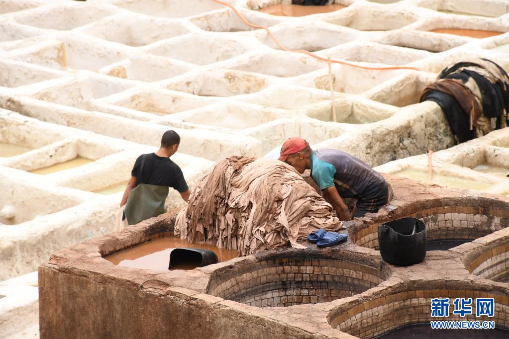 摩洛哥：非斯古城中的皮革染坊