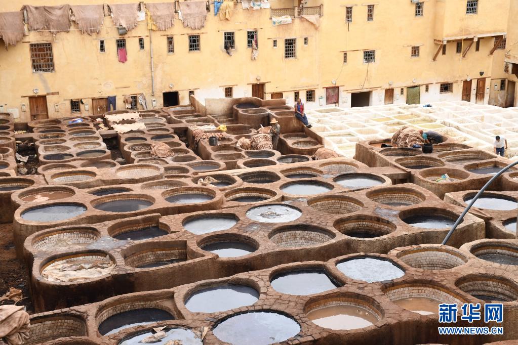 摩洛哥：非斯古城中的皮革染坊