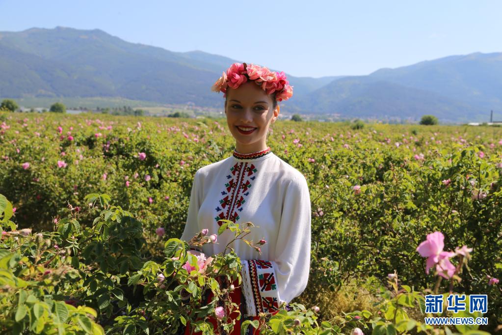 保加利亚卡赞勒克庆祝玫瑰节