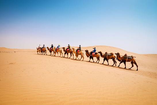 飞猪掀起后浪：在大西北沙漠里搞一场奇妙旅行节