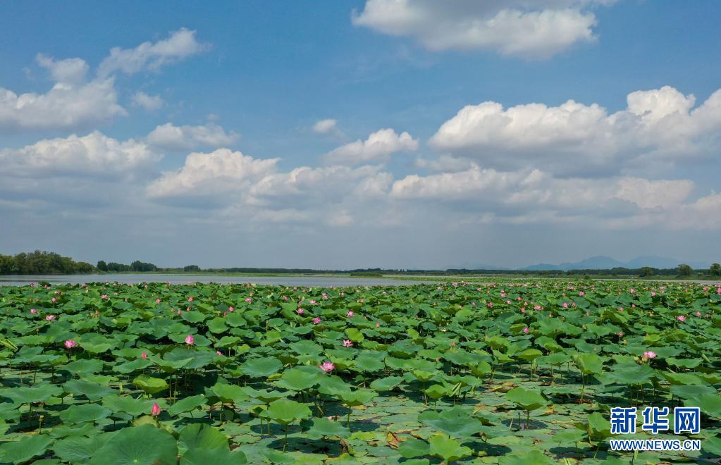 济南白云湖生态优先绘美景