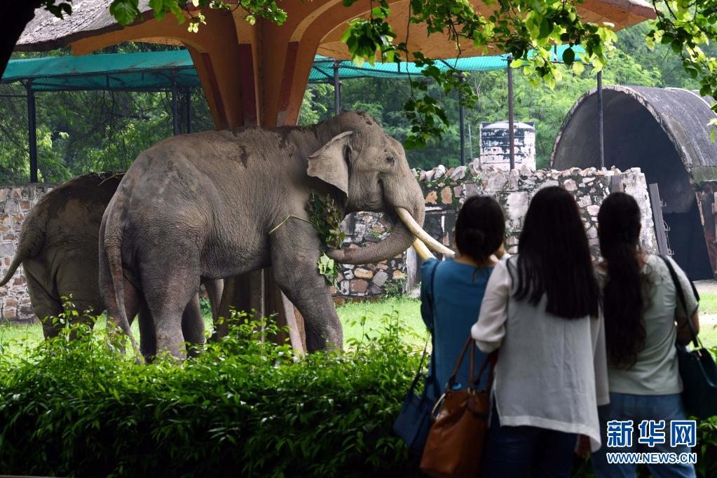 新德里动物园重新对公众开放
