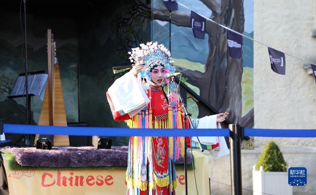 “中国文化路演”户外音乐表演活动在爱尔兰举行