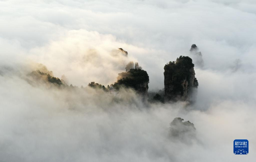 云起峰林间