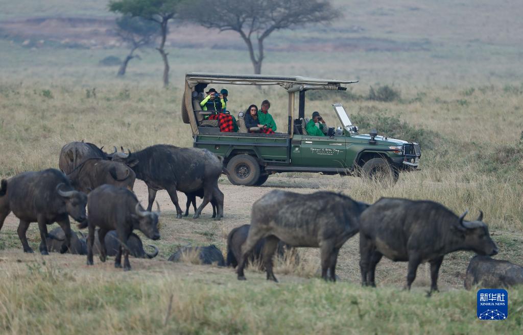 新冠疫情下待复苏的肯尼亚旅游业