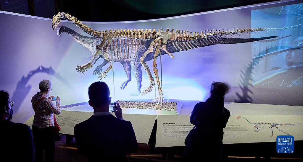 奥地利维也纳展出2.1亿年前恐龙骨架